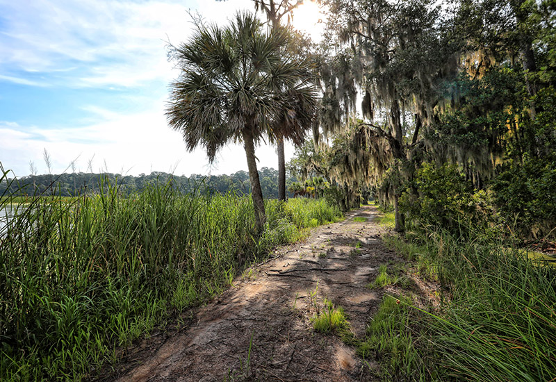 RicefieldBluff0158-2